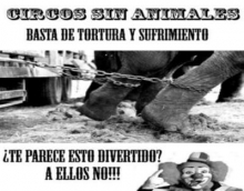 circos sin