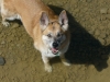 mati