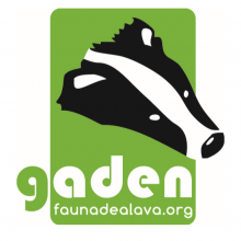 gaden