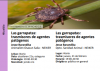 garrapatas