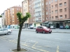 poda de árboles en vitoria-gasteiz